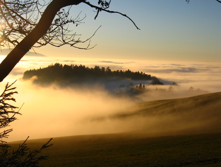 St. Märgen Ausblick