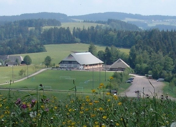 Weitannenhalle, aus der Ferne